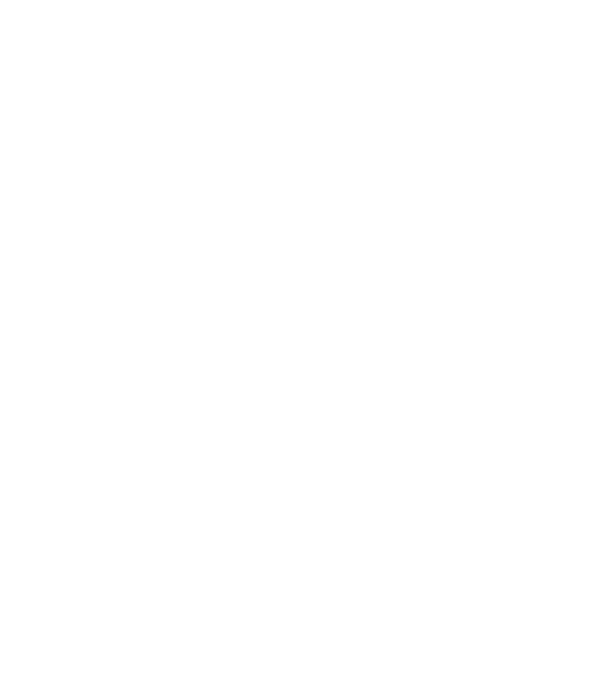 François CHAZAL – Conseil